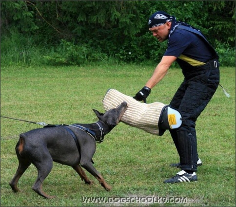 Summer training camp in Estonia 2007